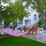 Ipek Camyuva
