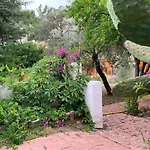Ipek