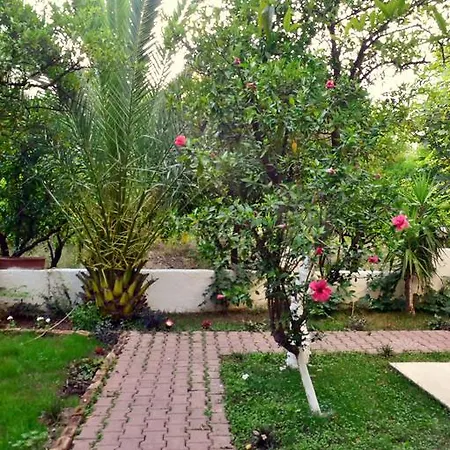 Ipek Hotel Camyuva