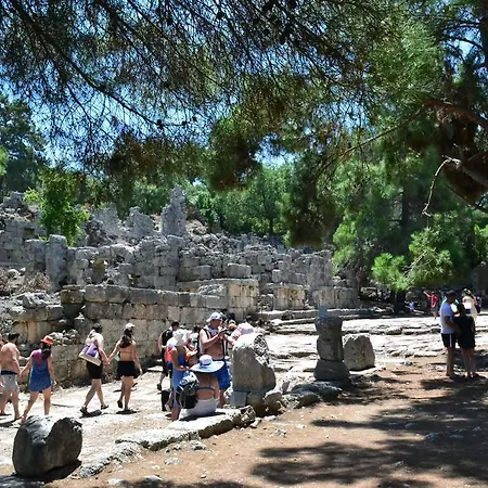 Ipek