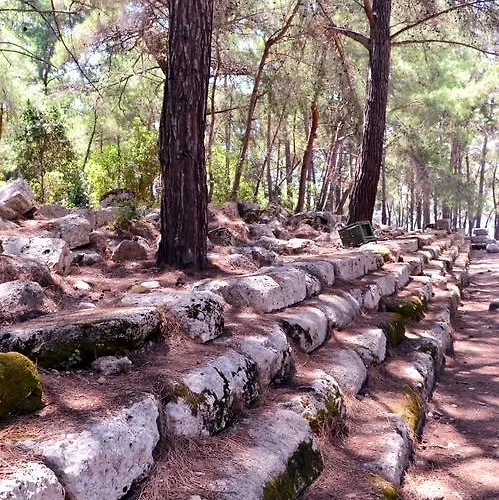 Ipek מלון 2*