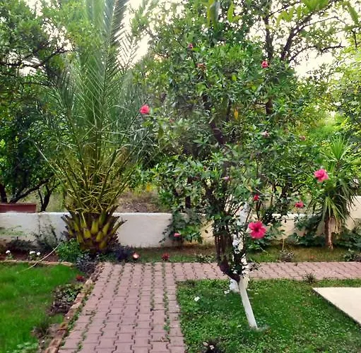 Ipek מלון Camyuva