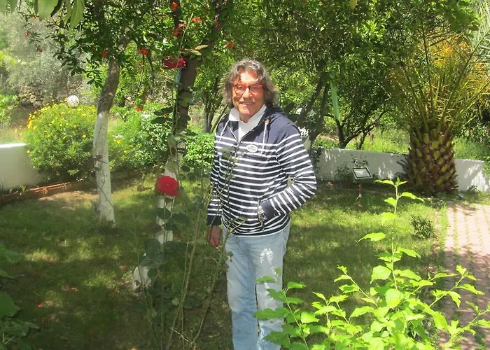 Ipek