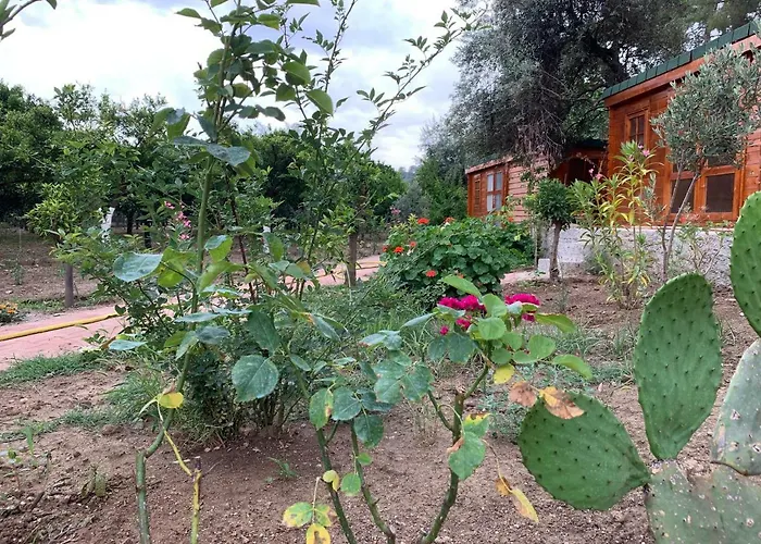 Ipek מלון 2*